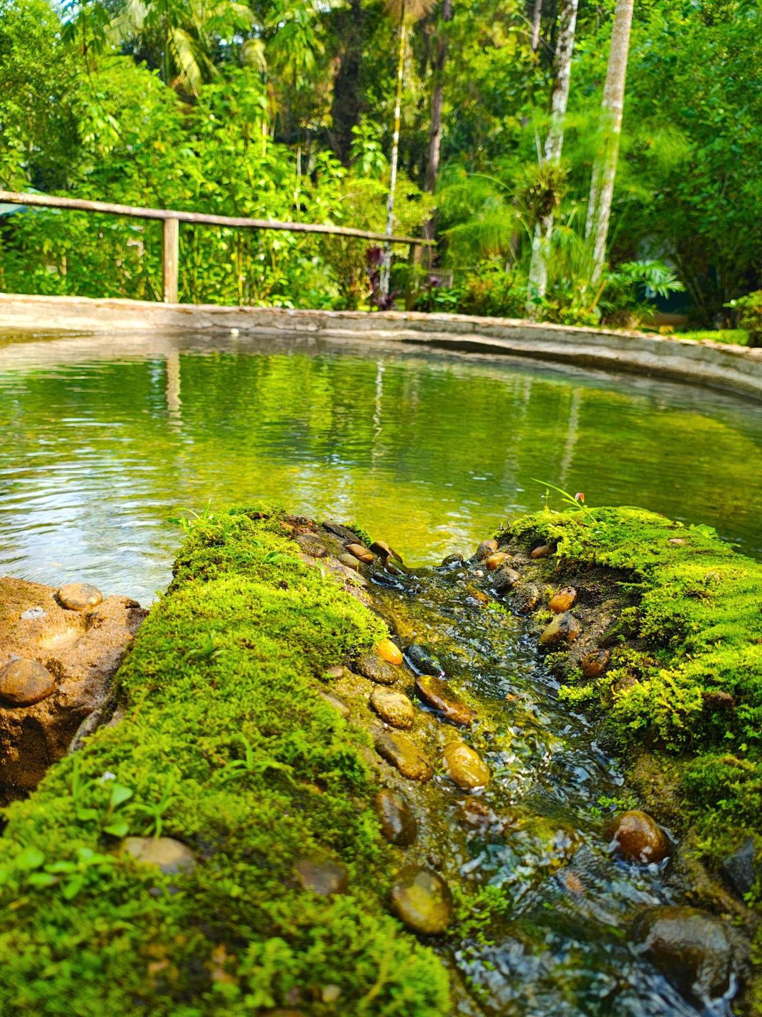 Pousada Romantica Serra Da Mata Penedo  Exteriör bild